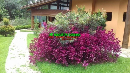 Imagem 6 de 15 de Terreno De 1000 M² No Condomínio Parque Da Mantiqueira - 565