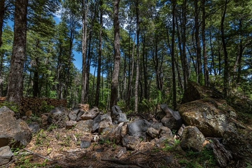 Vendo Parcela 5000m2 En Rinconada De Pucon Curarrehue