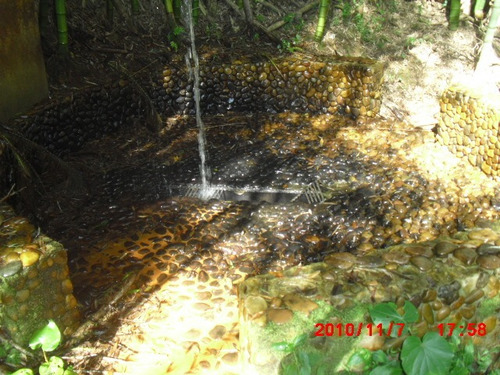 Imagem 4 de 9 de Terreno Bairro Pomaryuri 1000m2 Rico Em Água