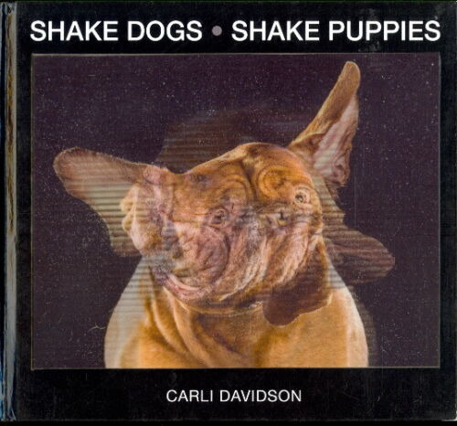 Shake Dogs Shake Puppies