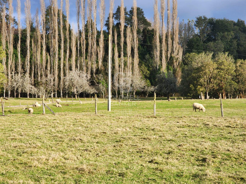 Terreno Con Acceso Privado Al Río Maullín