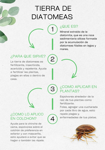Diatomeas + Xtermin Flow + Atomizador + Espolvoreador Manual