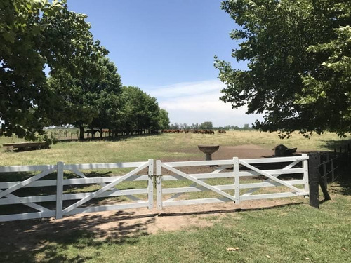 Oportunidad Única Venta De Campo Sobre Ruta Nacional 8 - Duggan, San Antonio De Areco - Mallmann Pro