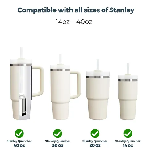 Pajillas Reutilizables Waterh Con Filtro Para Botellas