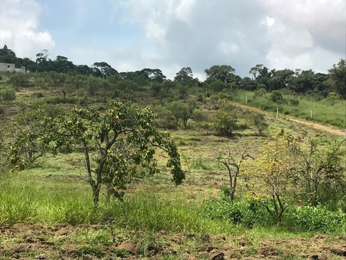 Imagem 6 de 14 de Bv5 Lote 600 M2 Proximo A Represa, Com Documentação Toda Ok