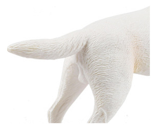 3 Paquete De 2 A 4 Modelos De Figuras De Perro 3 Piezas