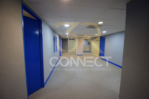 Oficina En Renta En Anzures 6c/2b/1e - Excelente Ubicación - 178m2