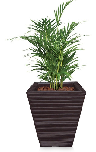1 Vaso P/ Bambu Natural Artificial Mosso Aurea Folha Q 45x35