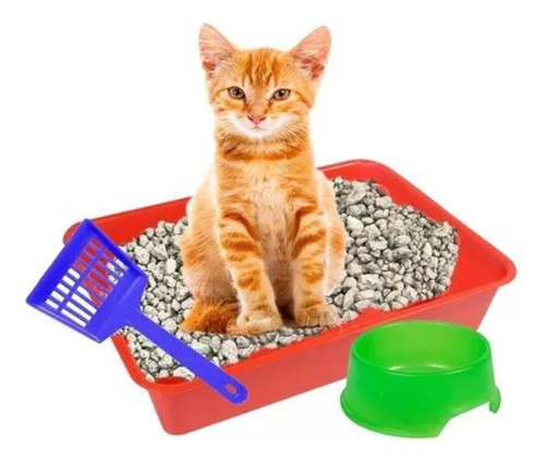 Kit Sanitario Litera + Palita + Comedero Para Gato Mascotas