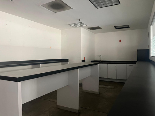 Oficina En Renta - Paseo De La Reforma - 584.4m2 - Piso 6