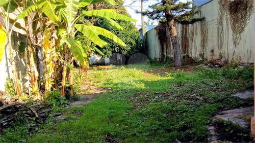 Imagem 6 de 16 de Terreno - Reo473496