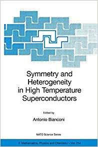 Symmetry And Heterogeneity In High Temperature Superconducto