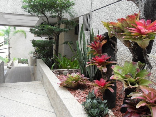 Imagen 15 de 15 de Marol Rentahouse Vende Casa En La Viña Valencia 22-13902