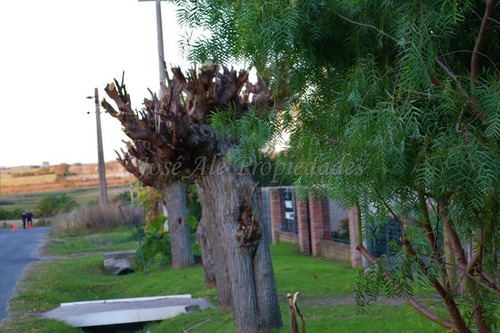 Imagen 12 de 12 de En Venta Casa De Tres Dormitorios Colonia Del Sacramento