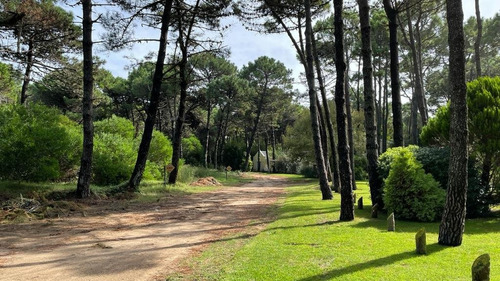 Imagen 13 de 22 de Lote Venta Zona Norte Pinamar - Lote 9