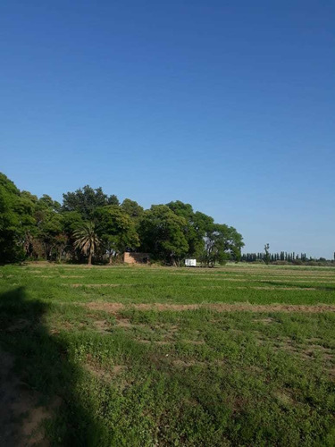 Imagen 1 de 10 de Finca 22 Hectarias En Colonia Elena San Rafael