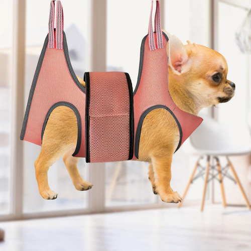 Kit De Cortador De Unhas De Rede Para Tosa De Animais De