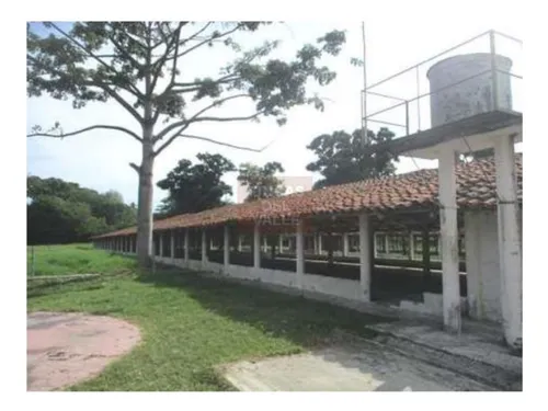 Buga, 23.200 M2, Se Vende Finca Avícola