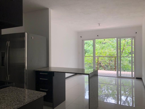 Imagen 3 de 12 de Apartamento En Santa Ana