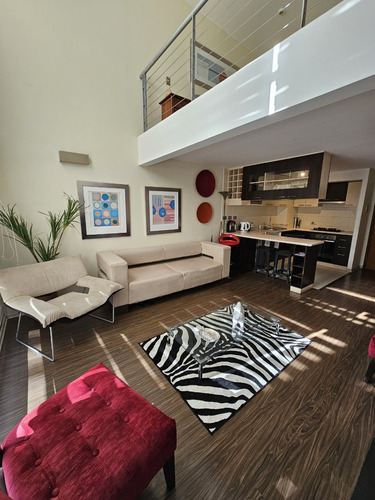 Se Arrienda Departamento Duplex Amoblado Concepción