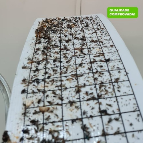 Refil Adesivo Com Cola Armadilha Pega Mata Mosca 450x220