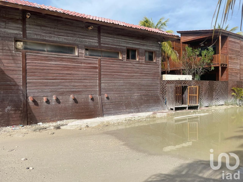 Venta Terreno 0 Ambiente Isla De Holbox
