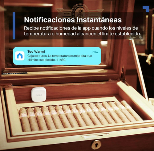 Sensor De Temperatura & Humedad Tp-link Tapo T310