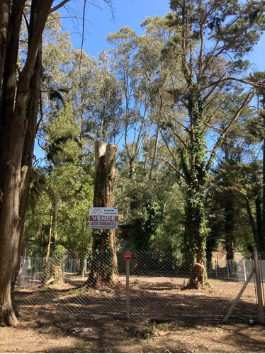 Terreno / Lote En Venta De 530m2 Ubicado En Bosques De Peralta Ramos