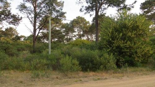 Imagen 3 de 4 de Muy Buen Terreno De 1000 Mts2 A 3 Cuadras Del Mar