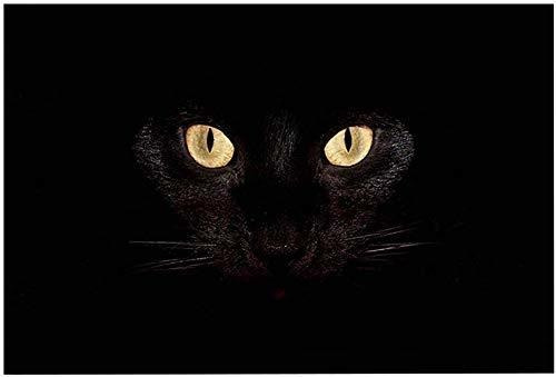 Chezmax - Felpudo Antideslizante Con Ojos De Gato Negro, For