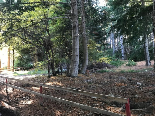 Imagen 8 de 11 de Terreno - Villa La Angostura