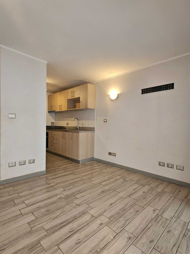 Se Arrienda Home Studio En Concepción (106344)