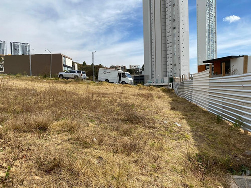 Imagen 3 de 5 de Terreno En Venta En Bosque Real