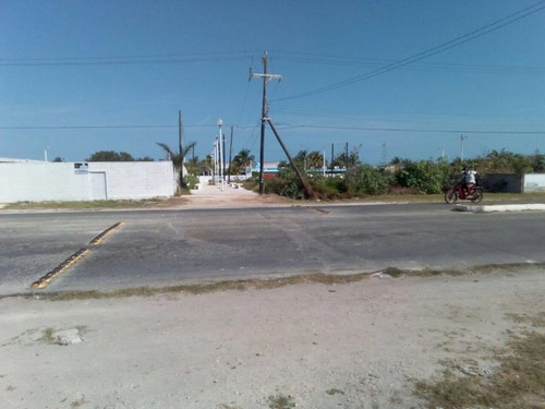 Imagen 5 de 5 de Terreno En Renta Sobre Av. 29 En Progreso