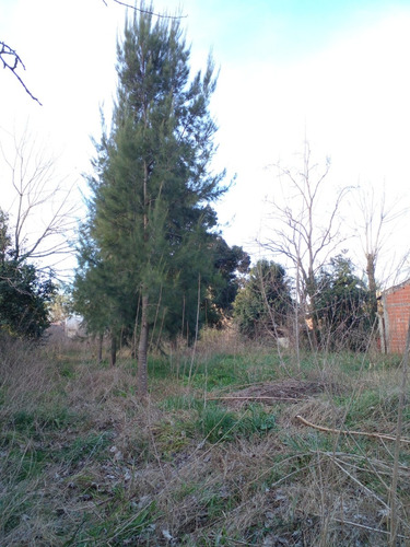 Venta De Lote En BÂș La Dolly - Coronel Brandsen.