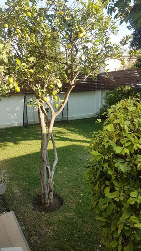 Acogedora Y Renovada Casa Cercana A Metro Castillo Velasco,