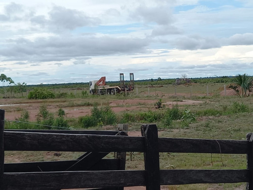 Imagem 7 de 13 de Fazenda 10600 Hectares, Acesso Asfaltado, Rica Em Água Com Lago, Planta 6000 Hectares, Topografia Plana, Casas Sede E Caseiro, Curral, Barracão - Fa00252 - 70762252
