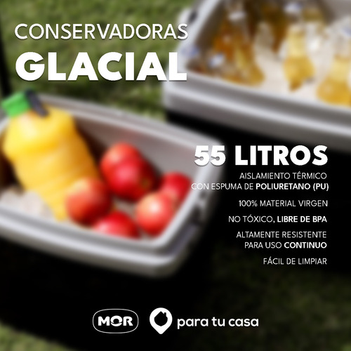Imagen 8 de 10 de Conservadora Heladerita Portatil Playa Camping 55 L Mor