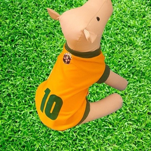 Roupinha Cachorro Camisa Copa Personalizado Com Nome Tam 2