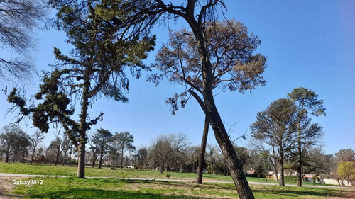 Loteo En Barrio Parque El Remanso - Barrio Los Jazmines - Pilar, Del Viso