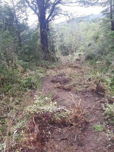 Sitio En Venta En Aisén