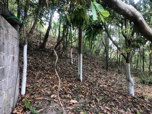 Imagem 16 de 23 de Sítio Com 3 Dorms, Batatuba, Piracaia - R$ 689 Mil, Cod: 2758 - V2758