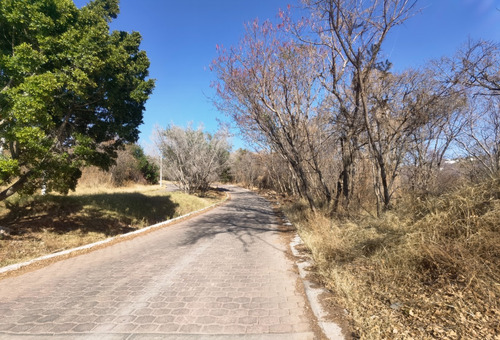 Venta Lote San Diego 54 Mz Xvi Muy Cerca De La Entrada Y De Las Amenidades Del Fracc Rancho San Diego Ixtapan De La Sal Edomex