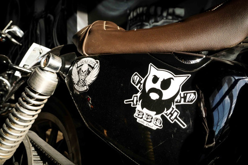 Harley Davidson Xl 883 Custom