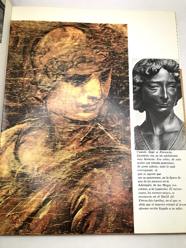 Los Grandes De Todos Los Tiempos Leonardo (Usado)