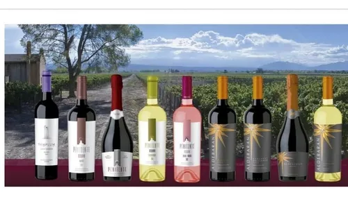 Vino Malbec Cabernet Franc Penitente Vinos Finos Tintos