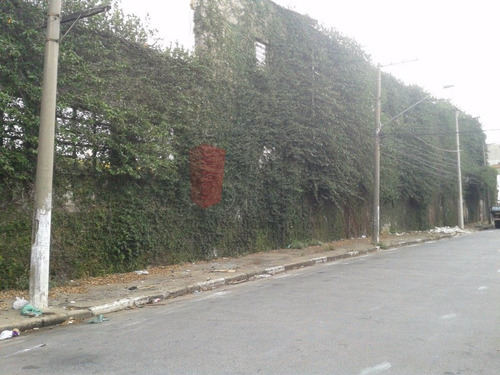 Imagem 12 de 15 de Terreno - Mooca - Ref: 2350 - V-2350