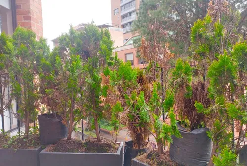 Apartaestudio En Arriendo En Chico Reservado. Cod A1590