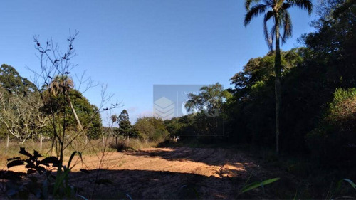 Imagem 2 de 4 de Sítio À Venda, 6187 M² Por R$ 265.000 - Águas Claras - Viamão/rs - Si0107