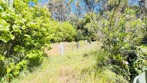 Terreno Con Tremendo Potencial, Primera Línea Maitencillo